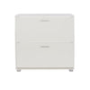 Lido 2 Door Shoe Cabinet  White  (DHD) Image 2