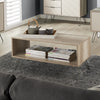 Augusta Driftwood Open Coffee Table Driftwood  Calico (DHD) Image 4