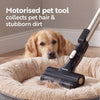 Beldray Airgility Pet Plus+ Cordless Vacuum Cleaner - Platinum