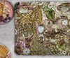 House Of Norris Out of Time Extinct Animals and Flowers Filled Cushion 50X50cm