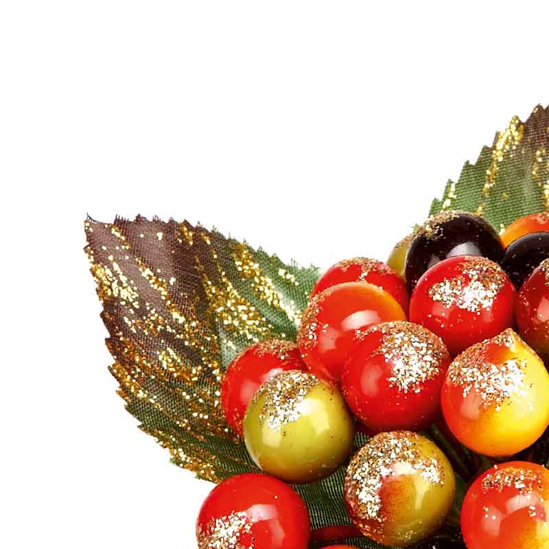 Premier 10cm Delarobia Multi Berry Pick