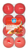 Pan-Aroma 16 Pack Colour Tea-lights -Apple & Cinnamon