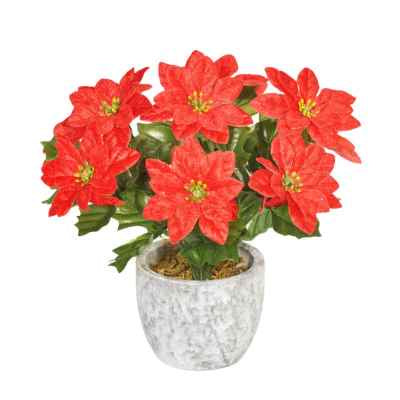 20Cm Red Poinsettia Flower In pot