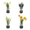 18Cm Mini Plant In Jar Assorted