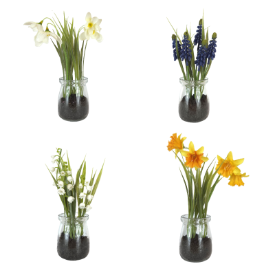 18Cm Mini Plant In Jar Assorted