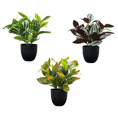 25Cm Green Plant In Pot Assorted