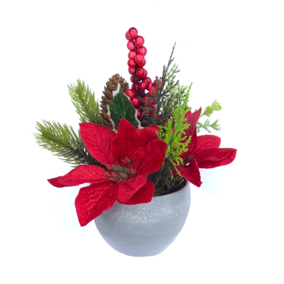 20CM Christmas Foliage Poinsettia In Pot