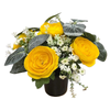 25Cm Yellow Ranunculus Daisy Foliage Grave Pot