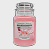 Yankee 538G Scented Candle In Jar Berry Kiss Bellini
