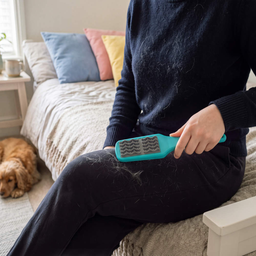 Beldray Pet Plus Double Sided Lint Brush &amp; Mini Pad Set